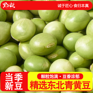 东北青黄豆农家自种土黄豆青皮绿皮非转基因打豆浆杂粮新货大青豆