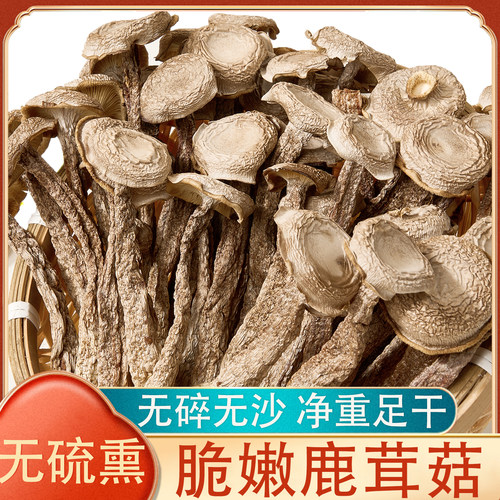 鹿茸菇优质鹿茸菌煲汤鹿茸菇脆