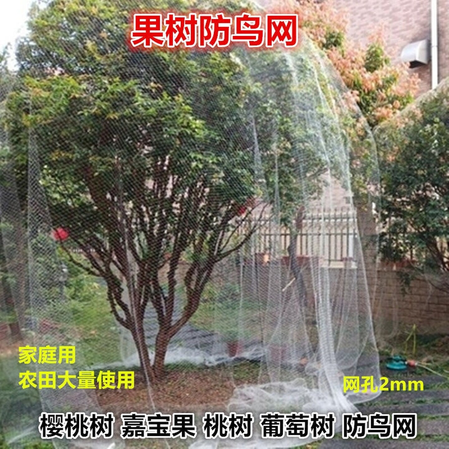 家用果树防小鸟的网果树网枇杷树樱桃树防鸟用的网果树网罩抗老化图片