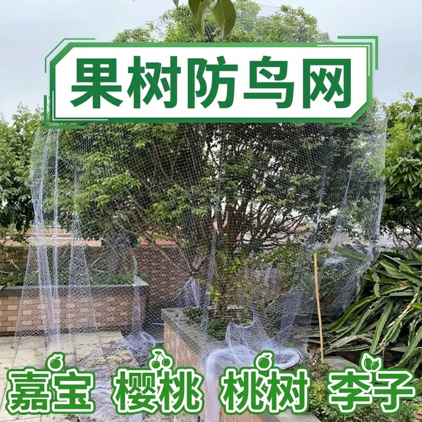 果树专用防鸟网樱桃树葡萄蔬菜防护罩尼龙网网罩果子防小鸟的网子