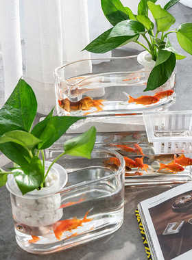 斗水族箱微e水创意养容器景观养造景植物共生态鱼缸花造景瓶鱼花