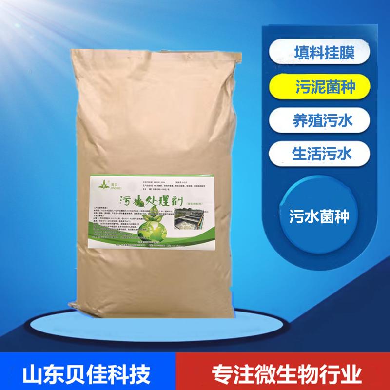 菌处理剂微生h物生物活性污泥污水好填料反硝化氧硝化菌种