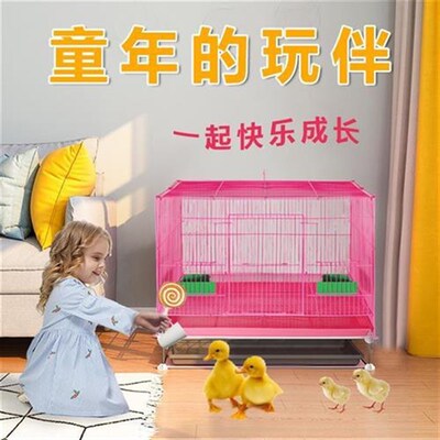 小鸭子笼子小鸡宠物柯p尔黄鸭笼子家用育雏窝房子养鸭子鹅养鸡别