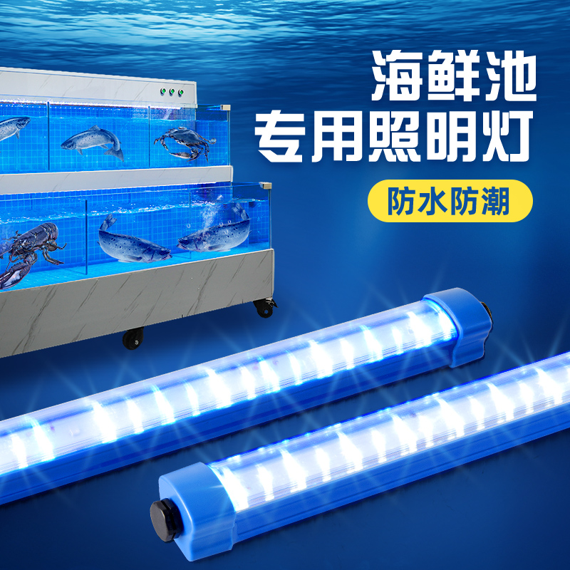 海鲜池专用灯led灯条鱼缸灯防水蓝白光水产鱼池专用灯管照明灯