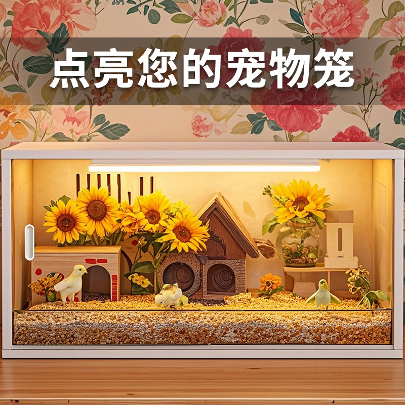 宠物灯打造属于它的氛围灯