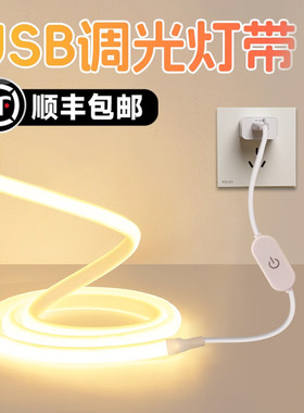 【顺丰包邮】usb调光灯带