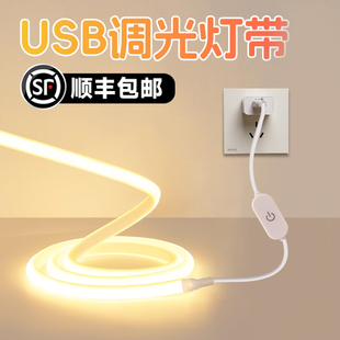 usb灯带免插电充电宝供电led灯超长续航夜市摆摊不需要电源的灯带