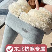 加绒加厚保暖裤 东北特厚羊羔绒一体棉裤 大码 打底裤 女外内穿冬季