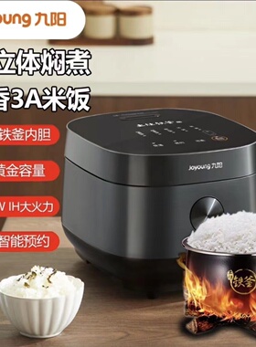 九阳3L升IH铁釜电饭煲1100W大火力聚能内胆智能多功能电饭锅30T1