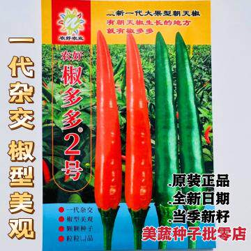 椒引进国泰多多2号单生大果型朝天椒种子高产抗病强椒硬饱满春秋