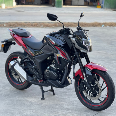 豪爵DR150S街车跨骑摩托车电喷