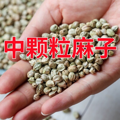 麻子鹦鹉粮甘肃特产火麻籽纸壳麻子中颗粒鸟粮玄风牡丹专用鸟食