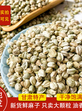 天架山天水麻子大粒甘肃特产特大生麻子火麻籽人吃炒熟食用大颗粒
