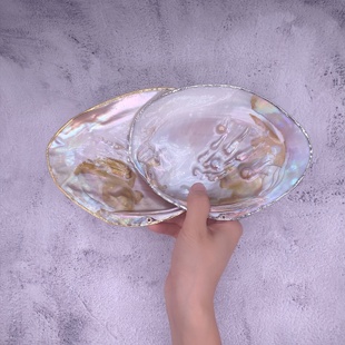 珍珠蚌壳贝壳盘珍珠贝天然珍珠蚌壳抛光打磨鱼缸水族造景创意摆件