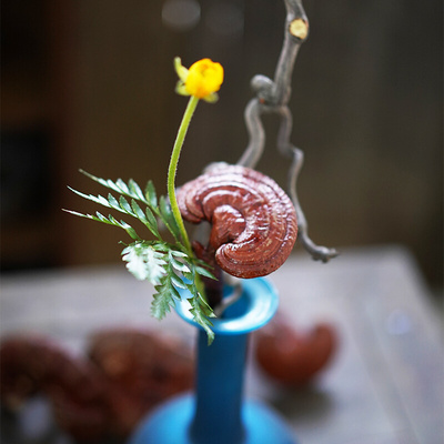 灵芝观赏插花整枝带杆插花花材辅助材料花道中式日式茶室摆设软装