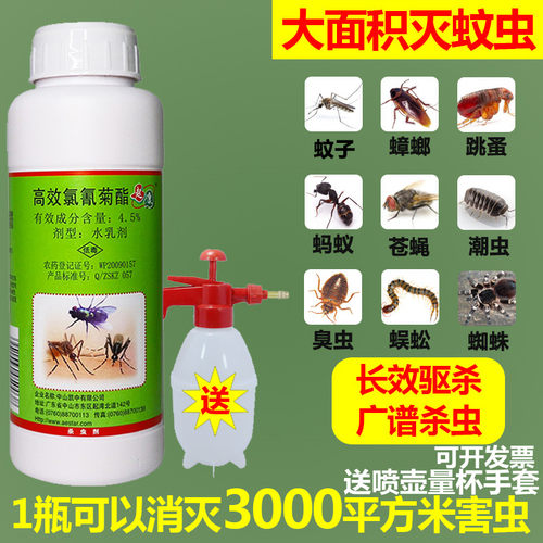 敌敌杀虫剂畏畏滴滴气雾剂农药畏植物高效氯氟氰菊脂灭蚊虫蟑螂药