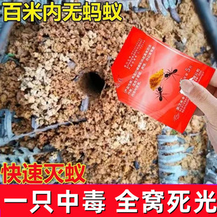 灭玛蚁粉专门治驱蚂蚁的药固体治小黄蚂蚁药马义药家用蚂蚊专用药