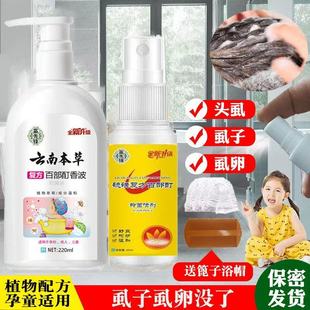 虱子药小女孩头发上长头虱子的虱立净去除虱卵儿童百部酊阴虱洗发
