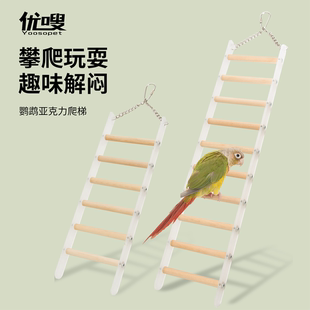 优嗖鹦鹉亚克力爬梯秋千鸟玩具攀爬站架木棍玄凤虎皮牡丹锻炼解闷