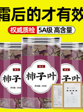 柿子叶官方旗舰店中药材降干柿子叶茶压血泡水霜后柿子叶粉的功效