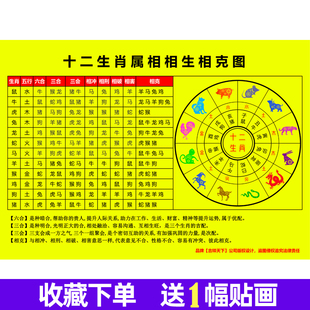 十二生肖相生相克相冲表十二属相金木水火土十二生肖冲刑破害图