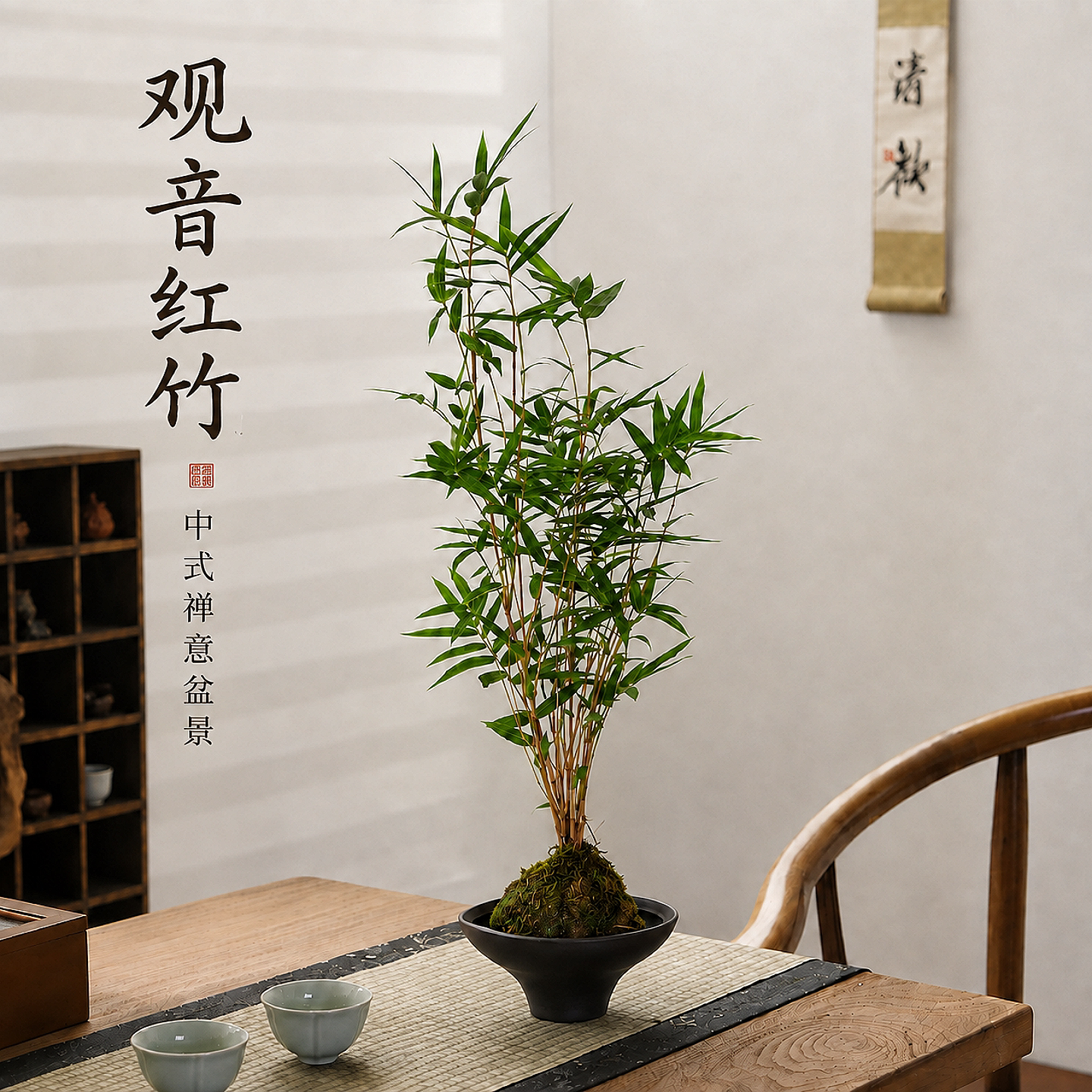 观音红竹盆栽中式禅意桌面绿植物桌面绿植