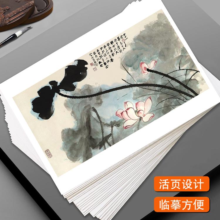 张大千荷花篇国画临摹卡水墨绘画