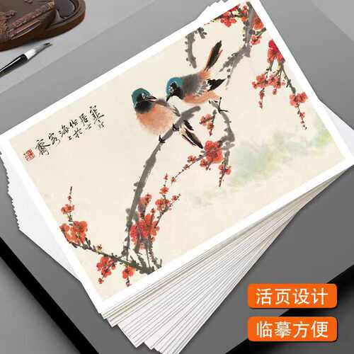 国画临摹卡名家合集写意花鸟水墨绘画艺术培训高清印刷40幅