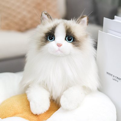 仿真猫咪玩偶高端布偶猫公仔礼物