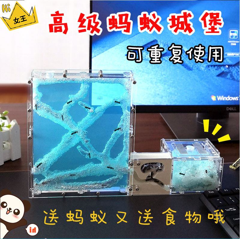 新奇特宠物玩具蚂蚁城堡庄园别墅生态蚂蚁工坊沙堡蚁后巢窝送蚂蚁
