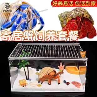 养蟹专用缸相手蟹沙蟹亚克力饲养盒寄居蟹饲养箱生态造景躲避套餐