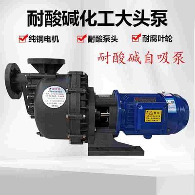 塑料大头马肚泵PP化工泵同轴自吸式耐酸碱泵脱硫泵电镀水冷循环泵