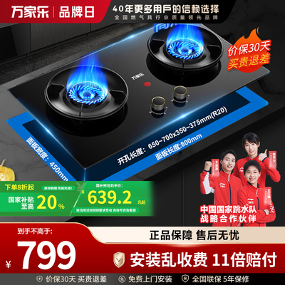 万家乐猛火全进风燃气双灶 台式嵌入式两用 AY6 70%热效率5.0KW