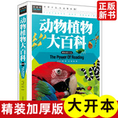 动物植物大百科小学生课外阅读物常春藤动物植物大百科绘本探索大自然动植物世界儿童科普知识图书小百科全书少儿百科书籍儿童文学