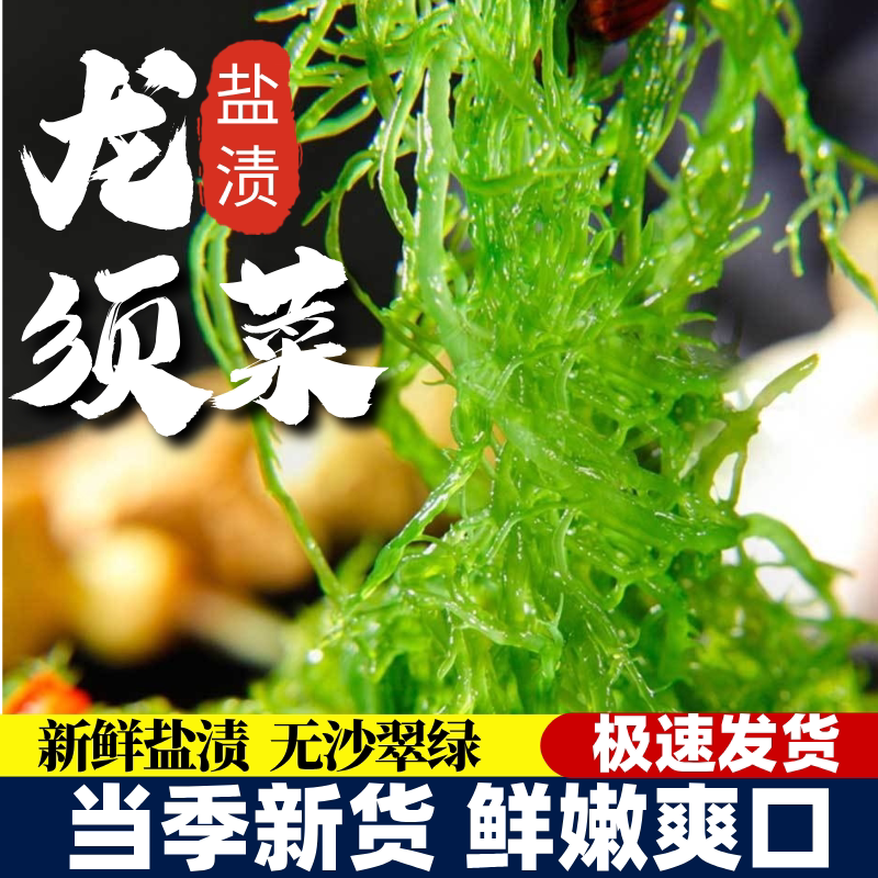 龙须菜新鲜盐渍海产海草火锅素食凉拌菜海发菜海藻珊瑚草鹿角菜