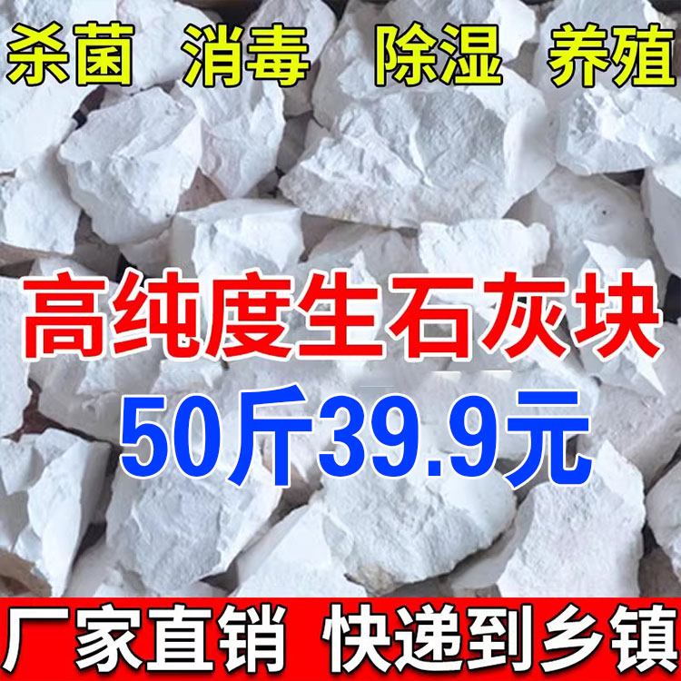 50斤生石灰块鱼塘消毒养