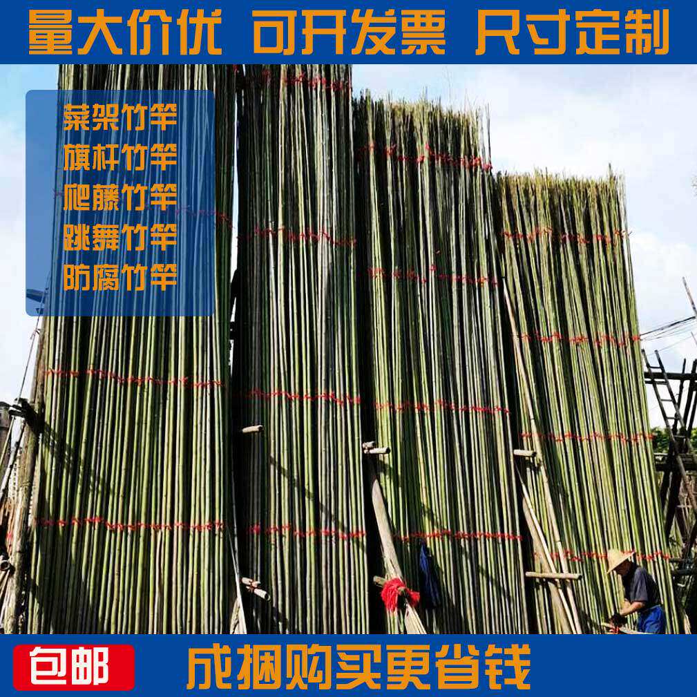 竹竿菜园搭架豆角葡萄小