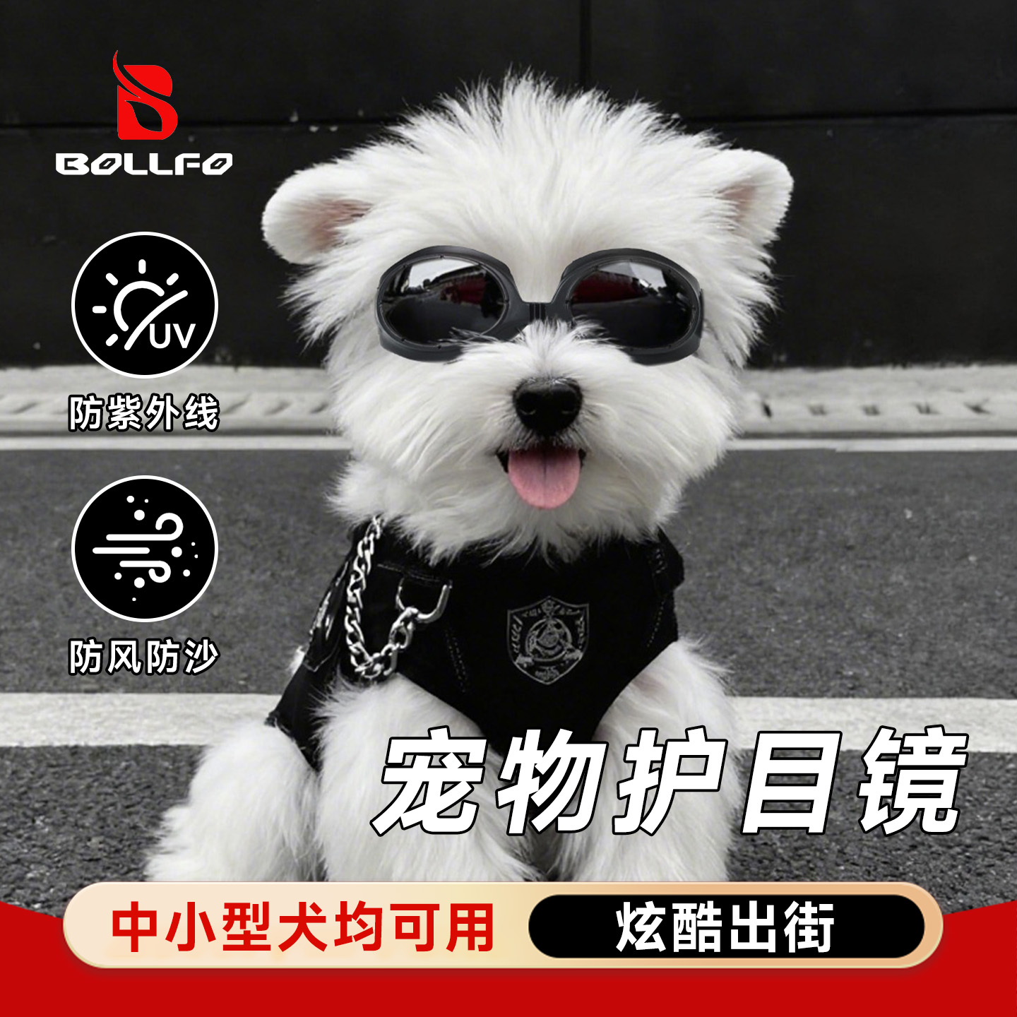 小狗泰迪专用防风宠物护目镜