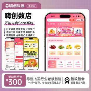 嗨创数店电商Saas系统-批发供销存社交电商小程序商城分销多门店