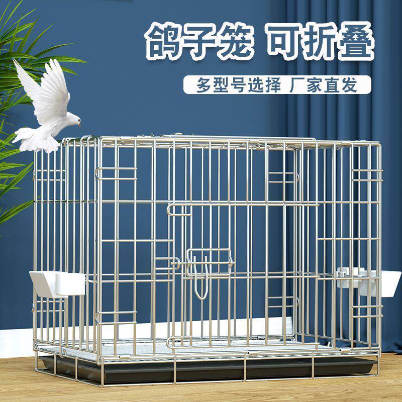 鸽子笼鸟笼子养殖笼繁殖笼肉鸽笼观赏鸽笼大鸟笼800带隔断折叠笼