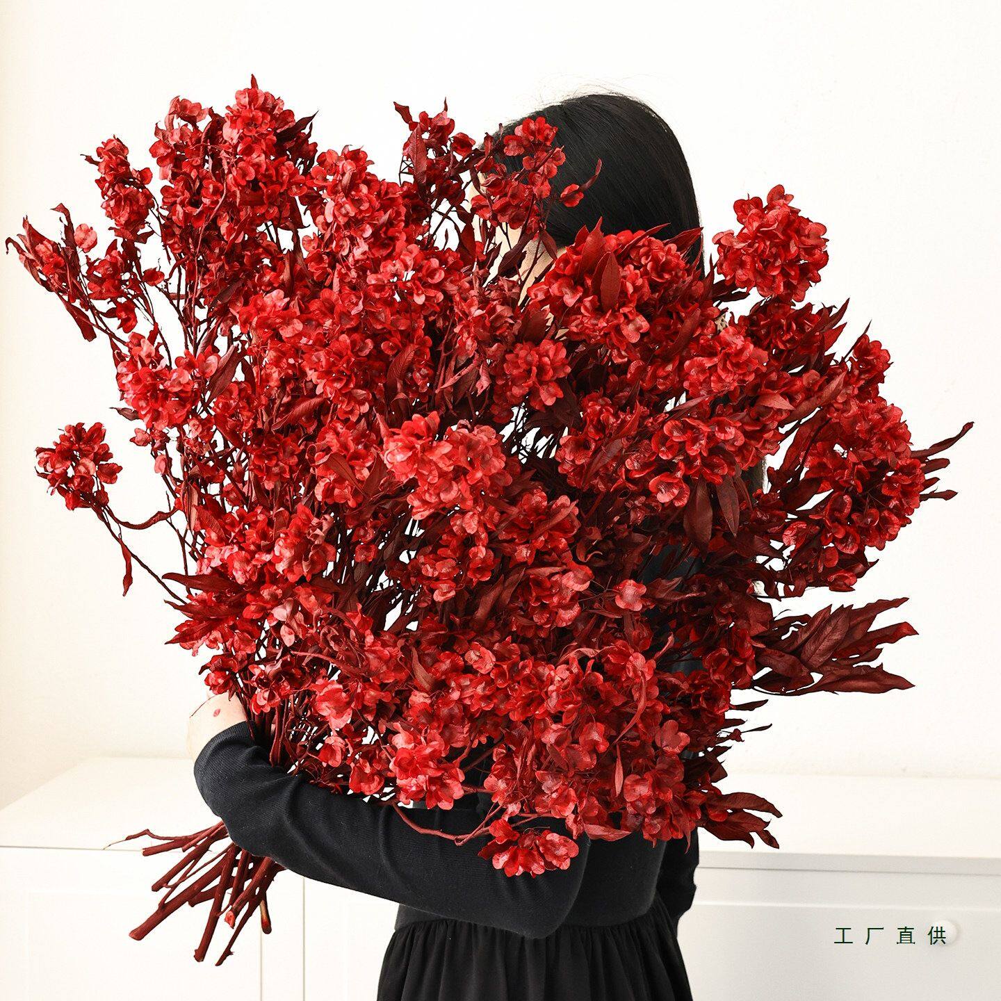迎客豆真干花花束客厅摆设高级感真花花瓶插花摆件装饰喜庆年宵花