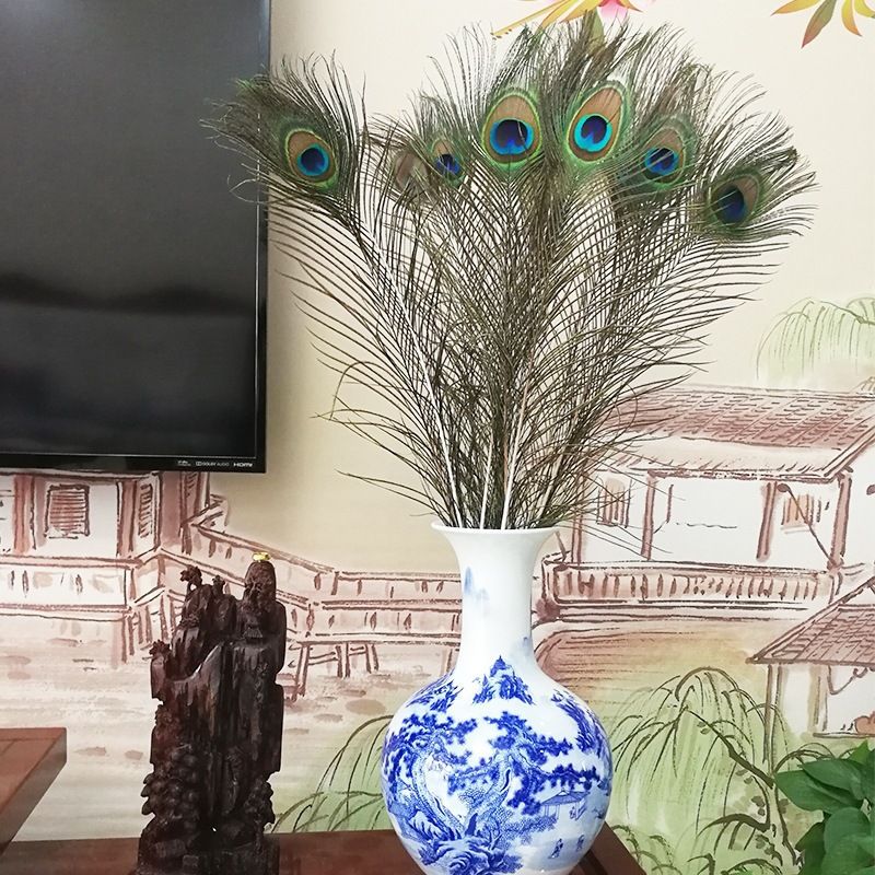 真孔雀羽毛翎尾大眼睛客厅摆件花瓶插花装饰品配件孔雀毛