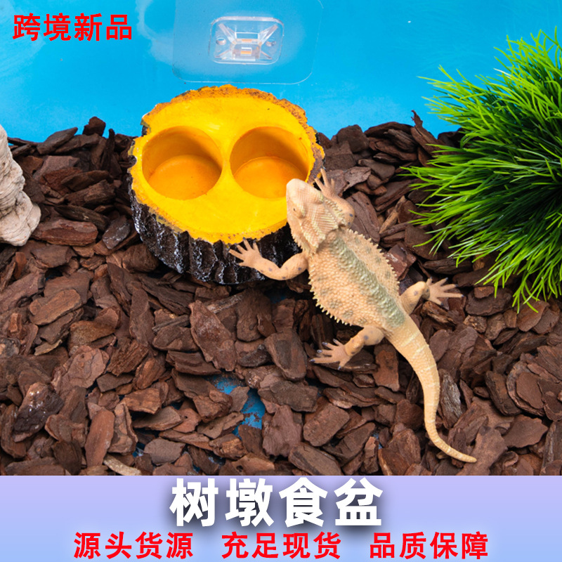 爬宠箱造景装饰陆龟水盆蜥蜴蜘蛛守宫水池赫曼泡澡饮水豹龟苏卡
