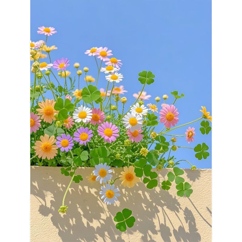 清新自然植物花卉四叶草雏菊自粘墙贴画卧室客厅餐厅背景装饰贴纸