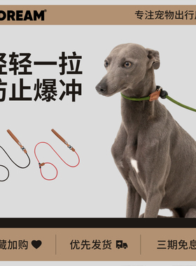 HiDREAM狗狗牵引绳防爆冲一体P绳大型犬遛狗绳攀岩级尼龙绳P链