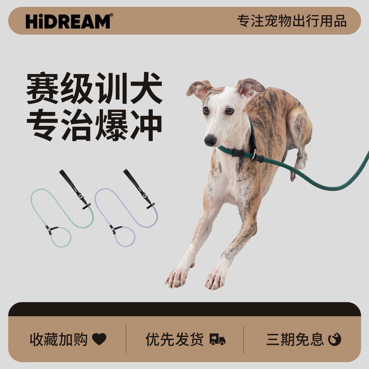 HiDREAM一体P绳防爆冲训练