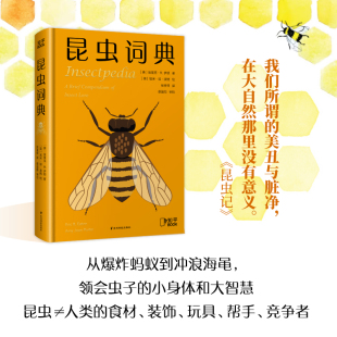 小身体和大智慧 虫子大全百科涨知识 爆炸蚂蚁到冲浪海黾 领会虫子 昆虫词典 生物昆虫百科奇妙 大自然课外书昆虫 知乎官方