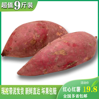 重庆新鲜本地红心红薯地瓜红苕当季粗粮红薯种子现货番薯沙地红薯