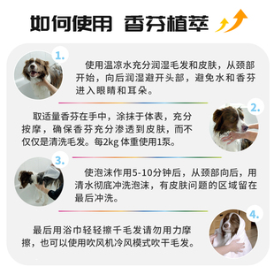 菌乐净棉片30片免洗清洁猫咪狗狗宠物用品