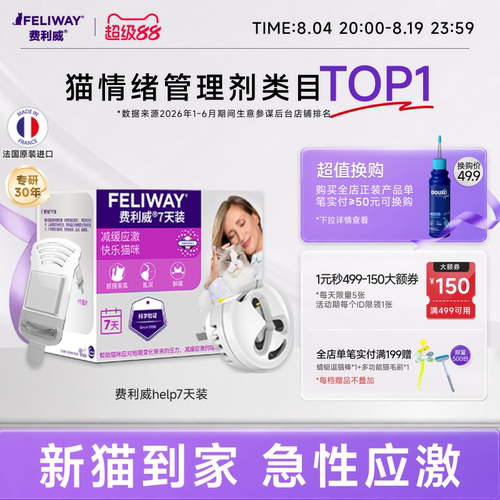 新猫到家预防应激